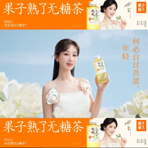 RIPE FRUIT [果子熟了] Non Sugared - Osmanthus Oolong Gardenia Oolong Jasmine Longjing Green Longjing Green Tangerine (500ml x 15 bottles)