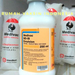 Medivac Vaksin ND IB EMULSION 250 ml untuk Pencegahan Tetelo dan Infeksi Saluran Pernafasan pada Unggas Ayam dan Burung