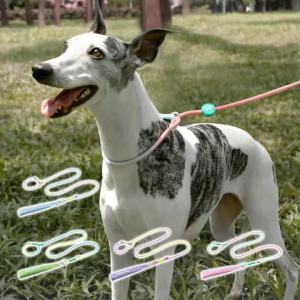 HamshMoc Pet Lead Heavy Duty Webbing Alloy Hardware No Tangle Outdoor Walking