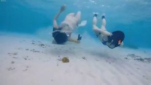 Full dry snorkeling water mask Scuba diving professional waterproof and anti-fog mirror diving set double window panoramic swimming glasses