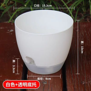 Self-Absorbent Bean Bag Flowerpot Transparent Plastic Water Storage Basin Living Room Balcony Automatic Water Feeding Scindapsus Aureus Bonsai Hydroponic Flowerpot