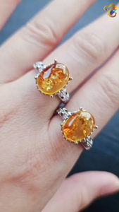 Collection Grade Flower Amber Titanium Adjustable Rings (2 Deigns)