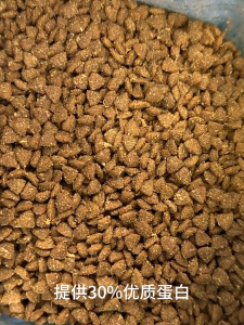 1 pack Ishstar cat food chicken pigeon 90% meat 0% grain for gut health and calcium absorption