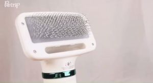 แปรงหวีไดร์เป่าขนสูง 22 ปริมาณ รวม 5 ปริมาณ แปรงหวีขนสูง รวม 5 ปริมาณ และแมว รวม สำหรับกลุ่มชาติ พื้นที่ผ่อนคลาย สบายมากๆ แปรงหวีขนสูงและแมว 22 ปริมาณ