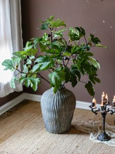 Nordic Style Artificial Green Plant Decoration Fruit Leaf Bottle Plug Living Room Entrance Indoor Decor Simple Home Decoration