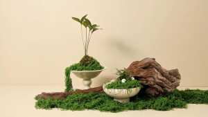 200g Artificial Moss Green Simulation Moss For Orchid Succulent Potted Plants DIY Rock Garden Bonsai Accessory Fish Tank Aquarium Micro Landscape Decoration