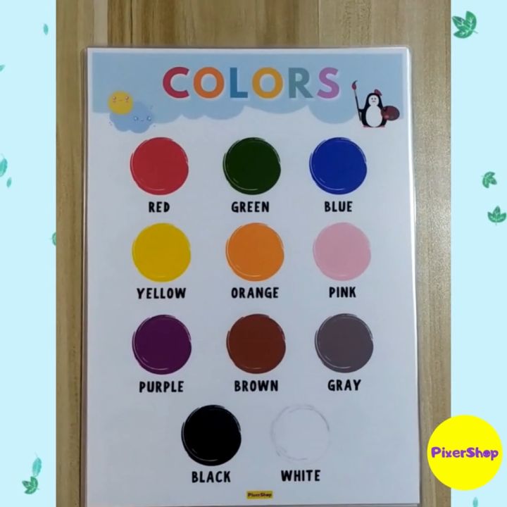 LOWEST PRICE! HIGH QUALITY A4 LAMINATED EDUCATIONAL CHARTS FOR KIDS ...