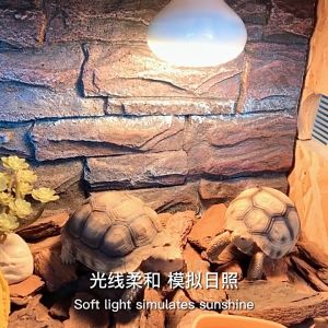 Tortoise Uva Basking Bulb Heating Light Lamp Reptile Heat Ambient Temperature（陆龟聚热灯/日灯/加温灯暖灯）Kura Penyu Reptilia