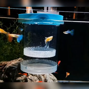 กล่องฟักไข่ปลาที่ลอยได้ กล่องฟักลอย กล่องแยกปลาคลอดลูก 2ช่องแยกลูกกุ้ง และแยกปลาที่กำลังป่วย สองขนาด