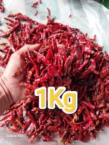 Cabe Rawit TEJA Kering Kualitas ((PREMIUM)) Bagus Pedas (Tanpa Tangkai)