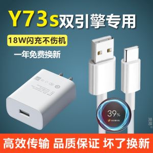 Original Vivo Y73s Fast Charge Data Cable Mobile Phone Charger High Quality Official Vivo Y73s Charging Line And Charger