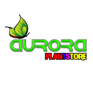 Rumput Sintetis Swiss 100cm x 20cm