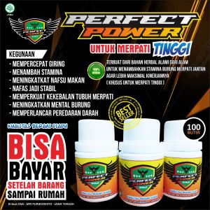 Jamu Merpati Perfect Power isi 100 butir