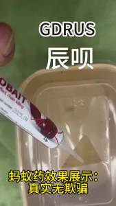 Cockroach Killer Ant Gecko Gelatinous Bait Household Cockroach Killing Ant English Version Wholesale GERUS