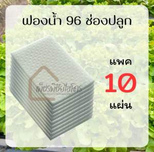 ฟองน้ำเพาะเมล็ดผักไฮโดรโปนิกส์ 🎁แพค 5 แผ่น และ แพค 10แผ่น