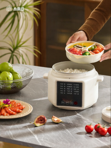 LITTLE PUMPKIN | Low-sugar Mini Multi-function Non-vent Electric Pressure Rice Cooker