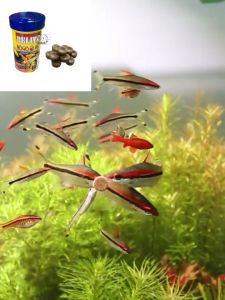 Thức ăn dán từ trùn chỉ cho cá cảnh hộp 100 viên - Relive