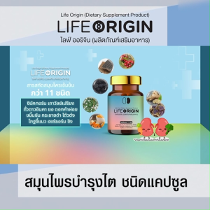 Life Origin แคปซูลบำรุงไตและเลือด 11 สมุนไพร แพคเดี่ยว 30 แคปซูล