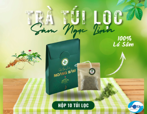 Trà túi lọc LÁ SÂM NGỌC LINH Hộp 10 gói sản phẩm chính hãng. Cam kết SÂM NGỌC LINH trồng tại Nam Trà My Quảng Nam