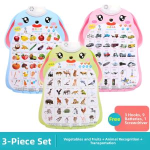 Educational Talking Wall Chart