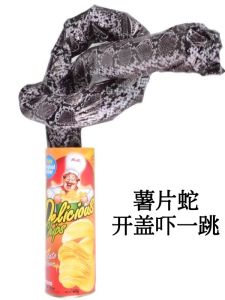 กระป๋องซีพีเอฟปลอมงูเล่นตลก เล่นงานเพื่อนในวันฮาโลวีนและวันหยุดแห่งความสนุก เครื่องประดับตกแต่งห้องนอนสุดเก๋สำหรับวัยรุ่น