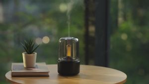 KINSCOTER Home Portable Aroma Diffuser USB Air Humidifier Essential Oil Night Light Cold Mist Maker Sprayer for Gift Bedroom