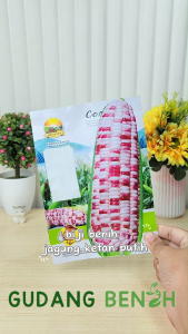 [PANEN MELIMPAH!] Benih Jagung Pulut Ketan / Bibit Jagung Ketan Manis Isi 35 / Benih Tahan Hama