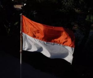 umbul-umbul 20pcs umbul-umbul Kuda laut umbul-umbul gergaji umbul-umbul terbaru umbul-umbul jumbo bendera merah putih bendera Indonesia aksesoris kemerdekaan pernak-pernik kemerdekaan bunting flagbackground Garudabendera rawisbendera