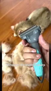 New Professional Self Cleaning Dog Comb Comfortable Handle Long Short Hair Pet Brush Grooming Effective Deshedding Tool Brush