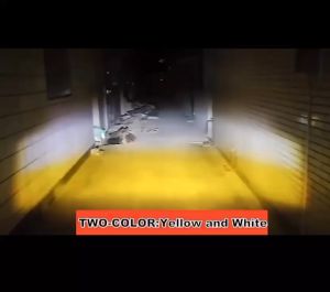 Lampu Sorot Tembak LED Laser D2 Oval Motor Mobil 20W Original