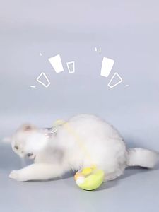 ไม้ล่อแมว ของเล่นสัตว์เลี้ยง ลูกแมวแบบโต้ตอบกันกัด สําหรับแมว ของเล่นเเมว การหมุน360° พร้อมกระดิ่ง Tumbler พร้อมส่งในไทย