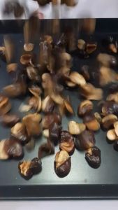 ถั่ว ถั่วปากอ้า ถั่วปากเป็ด ราคาถูก ถุง1กิโลกรัม