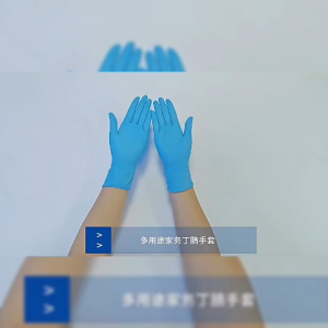 NEST Anja Disposable Nitrile Vinyl Gloves 100pcs per box SG