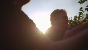 Yellow Tail Pure Bright Sauvignon Blanc - White Wine