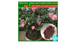 Phân bón trùn quế hữu cơ 2kg bổ sung dinh dưỡng cải tạo đất cho đất trồng hạt giống