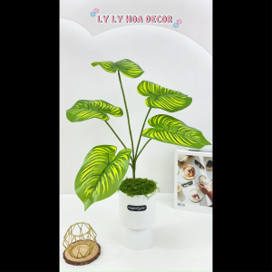 Cụm Lá Môn Quan Âm 5 nhánh Trang Trí Nhà Văn phòng Cắm Điểm. Hoa Lụa Decor