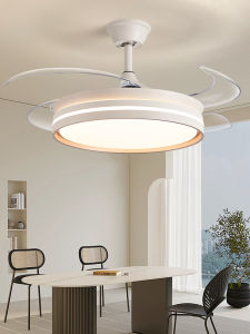 LINGWANG | Fan Light Artistic Design Ceiling Fan for Dining Room and Bedroom