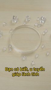 Viên uống An Giáp Tâm An hỗ trợ giảm nguy cơ bướu cổ lành tính Hộp 30 viên