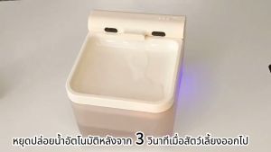 น้ำจัดส่งจากกรุงเทพฯ รุ่นใหม่ น้ำพุแมว อินฟราเรด ระบบเซนเซอร์ อายุการใช้งานแบตเตอรี่ 60 วัน การกรองละเอียดระดับ 5 สำลีกรองฟรี น้ำพุแมวไร้สาย น้ําพุแมวอัตโนมัติ [รับประกัน 2ปี]