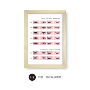 Professional Eyelash Extension Display Frame Beauty Salon Artwork Hanging Picture Frame Single Flower Under-Eyelash Introduction