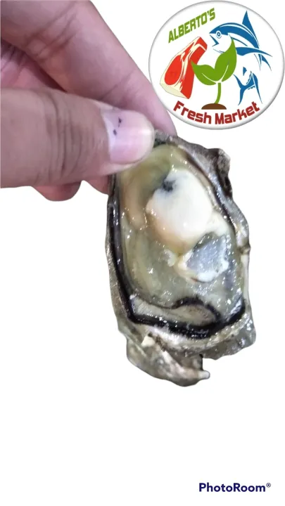 FRESH SEAFOODS TALABA 1kg | Lazada Philippines