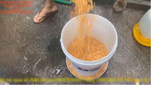 Máng ăn tự động cho Chim Bồ Câu siêu bền hiệu quả nhất(Combo bộ 1-5 máng)