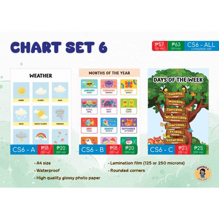Laminated Educational Wall Chart Set 6 - Weather, Months of the Year ...