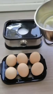 เครื่องต้มไข่ ต้มได้สูงสุด 6 ฟอง สะดวกใช้งานง่าย พร้อมฟังก์ชันนึ่งอาหาร ทำความสะอาดง่าย Egg boiler