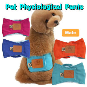 Male Dog Physiological Pants: A Comprehensive Guide