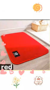 Foot mat non-slip rubber bottom plush surface super absorbent can be used in the kitchen bathroom door