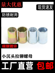 Pull Rivet Nut Small Head Striped Rivet Nut Countersunk Head Rivet Nut Plated Color Zinc Blue and White Zinc M3m4m5m6m8m10m12
