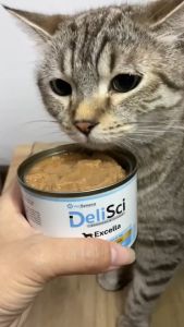 DeliSci (VetSynova) - Excella | Skin & Coat | Senior อาหารแมวสูตรบำรุงสุขภาพ โปรตีนจากเนื้อปลาล้วน