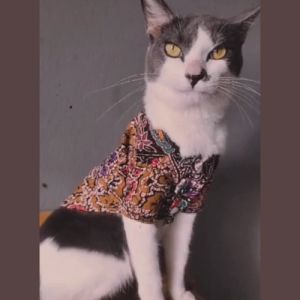 Pet Batik Shirt for Cats and Small Dogs Cotton Classic Motive by Furry Finds Hub