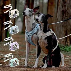 HamshMoc Pet Walking Set Reflective Straps Elastic Webbing Rotating Clip Outdoor Safety